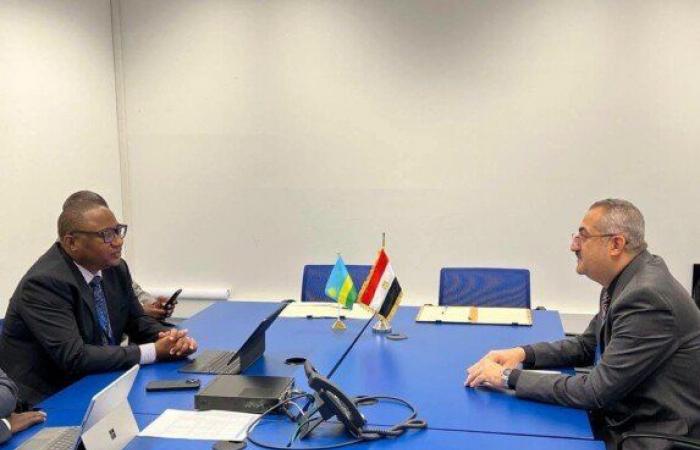 بالبلدي : مصر
      ورواندا
      توقعان
      مذكرة
      تفاهم
      لتعزيز
      التعاون
      في
      المجال
      النووي
      والإشعاعي