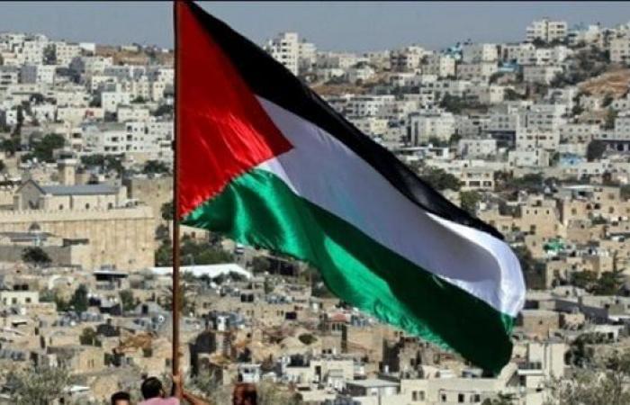 بالبلدي: «التعاون
      الإسلامي»
      ترحب
      بقرار
      الأمم
      المتحدة
      بشأن
      مشاركة
      فلسطين
      في
      دورتها
      الـ81