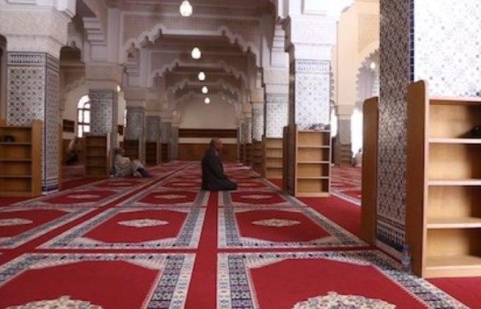 بالبلدي : الأوقاف
      تكشف
      تفاصيل
      تأخر
      فتح
      مسجد
      الهدى
      لصلاة
      العصر
      بالجيزة