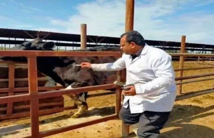 بالبلدي : الزراعة:
      تحصين
      5.7
      مليون
      رأس
      ماشية
      ضد
      «الحمى
      القلاعية»
      و«الوادي
      المتصدع»