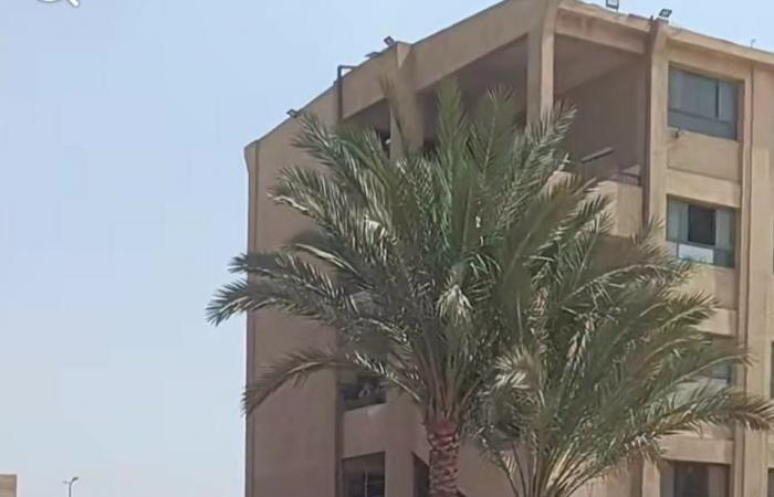 بالبلدي : ولادنا
      بخطر..
      شكوى
      أولياء
      أمور
      مجمع
      مدارس
      إسكو
      من
      التزاحم
      أثناء
      خروج
      أبنائهم