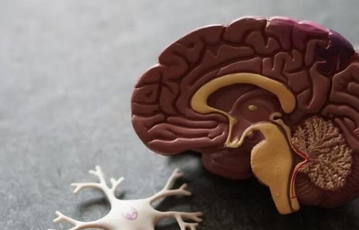 بالبلدي : تعرف على مرض الزهايمر ومراحله