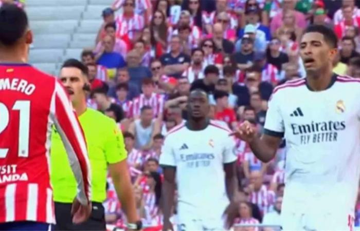 بالبلدي : عبارات
      بذيئة
      وألفاظ
      نابية..
      تفاصيل
      اشتباك
      بيلينجهام
      مع
      لاعبي
      أتلتيكو
      مدريد
      واستحضار
      ميسي
