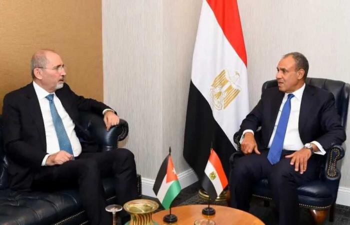 وزير
      الخارجية
      ونظيره
      الأردني
      يبحثان
      تعزيز
      العلاقات
      الثنائية
      والتطورات
      الإقليمية