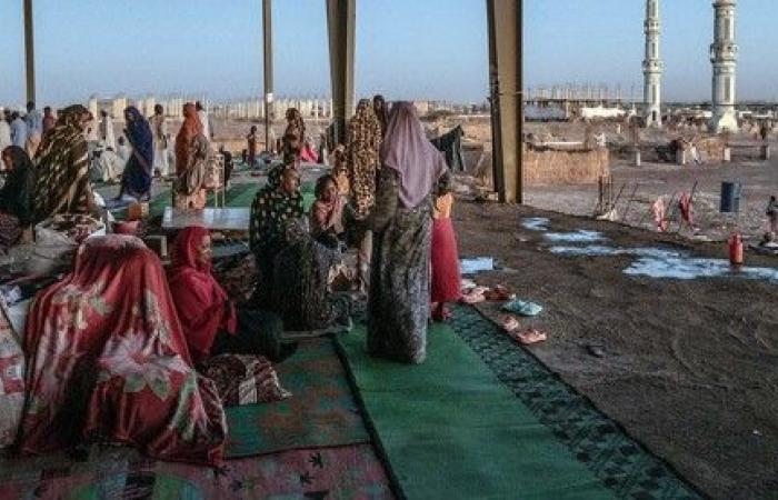 بالبلدي: المنظمات
      الحقوقية
      تكشف
      التورط
      الإماراتي
      بالحرب
      السودانية
      والتواطؤ
      الدولي
