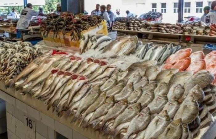 بالبلدي : أسعار
      الأسماك
      اليوم..
      كم
      سجل
      البلطي
      والبوري
      والجمبري؟