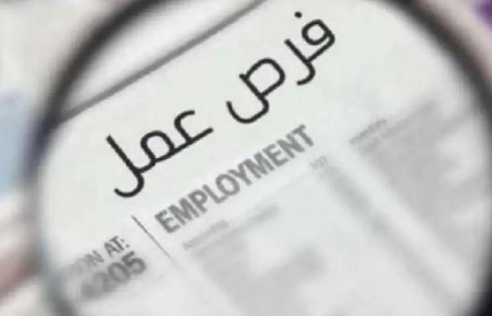 بالبلدي : براتب
      يصل
      لـ9
      آلاف
      جنيه..
      شروط
      ورابط
      التقديم
      على
      وظائف
      وزارة
      العمل
