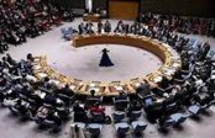بالبلدي: مجلس
      الأمن
      الدولي
      يدين
      هجمات
      الحوثيين
      على
      السعودية