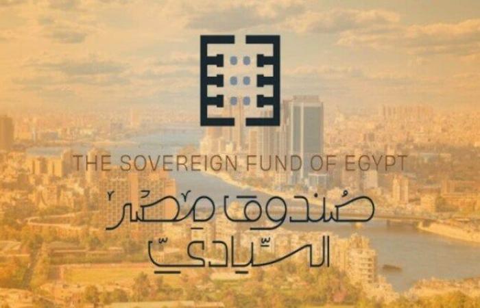 بالبلدي: محمد
      فريد:
      تطوير
      منهج
      عمل
      «مصر
      السيادي»
      وتأسيس
      صندوق
      الاستثمار
      في
      الصناعة