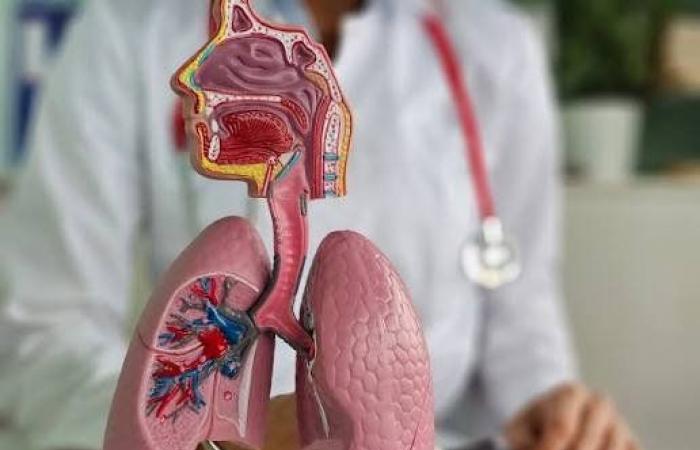 بالبلدي: لماذا
      تزداد
      الحساسية
      وأمراض
      الجهاز
      التنفسي
      في
      فصل
      الخريف؟..
      طبيب
      يكشف
      السبب