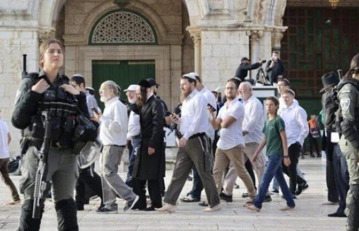 بالبلدي : يتقدمهم
      كاتس
      وبن
      غفير..
      900
      مستوطن
      يقتحمون
      المسجد
      الأقصى
      تحت
      حراسة
      شرطة
      الاحتلال