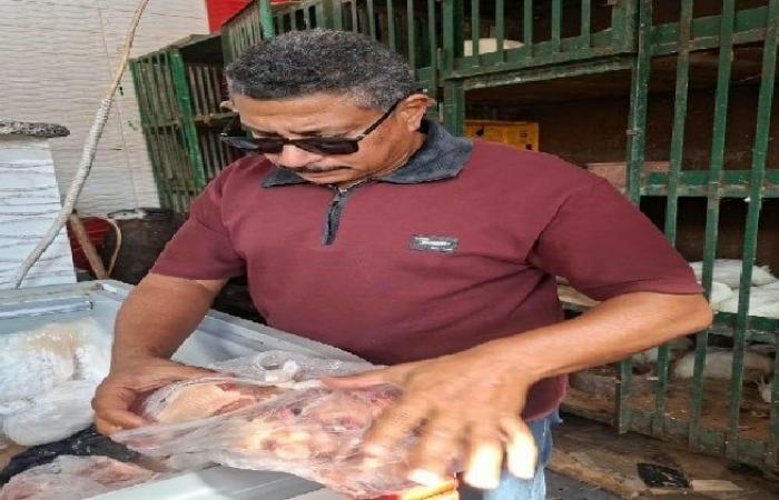 بالبلدي: ضبط
      هياكل
      وأحشاء
      دواجن
      فاسدة
      وغير
      صالحة
      للاستهلاك
      الآدمي
      ببورسعيد