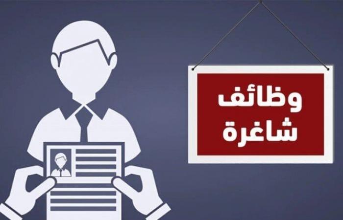 بالبلدي : وظائف
      وزارة
      العمل
      2026..
      رابط
      التقديم
      والتخصصات
      والأوراق
      المطلوبة