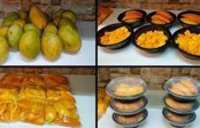 بالبلدي: أفضل
      الطرق
      لتخزين
      المانجو
      وأبرز
      الأنواع
      المناسبة