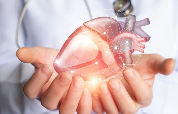 بالبلدي : اليوم العالمي للقلب للتوعية بأهمية الوقاية من أمراض القلب