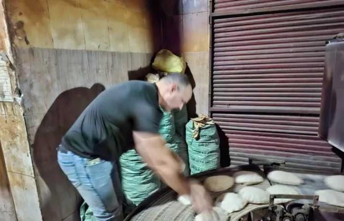 محافظ
      الغربية
      يوجّه
      بتكثيف
      الحملات
      على
      مخابز
      طنطا
      وكفر
      الزيات
      والسنطة
      وسمنود
      وتحرير
      49
      محضرًا
      لمخالفات
      متنوعة