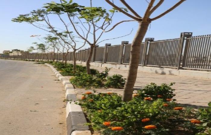 بالبلدي: تخطيط
      علمي
      وكفاءة
      للمياه..
      القاهرة
      تعلن
      تفاصيل
      الخطة
      التنفيذية
      لمبادرة
      «تخضير
      العاصمة»