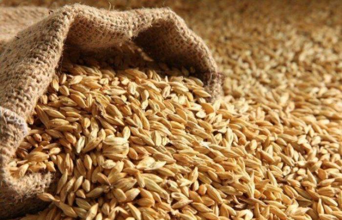 بالبلدي: سعر
      طن
      الأرز
      الشعير
      اليوم
      الثلاثاء
      29
      سبتمبر
      2026