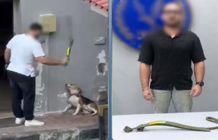 بالبلدي: القبض
      على
      المتهم
      بضرب
      كلب
      بـ
      «حزام»
      في
      الإسكندرية