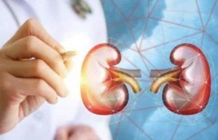 بالبلدي : حصوات
      الكلى
      وطرق
      الوقاية..
      3
      عوامل
      تحدد
      هل
      تخرج
      تلقائيا
      أم
      تحتاج
      لتدخل
      طبي