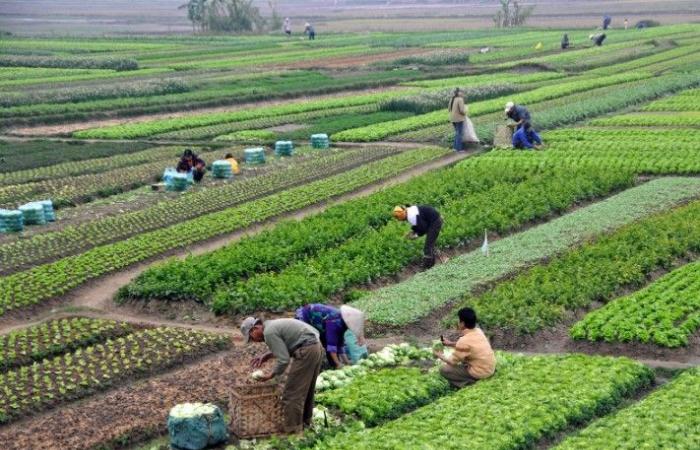 بالبلدي: الاقتصاد
      في
      أسبوع:
      موعد
      المراجعة
      الأخيرة
      لصندوق
      النقد..
      تدفقات
      المال
      الساخن..
      سداد
      28.3
      مليار
      دولار
      أقساط
      وفوائد