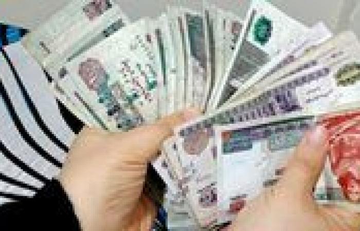 بالبلدي : تعرف
      على
      موعد
      صرف
      معاشات
      شهر
      نوفمبر 2026|
      تفاصيل