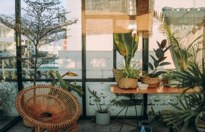 بالبلدي: 5
      نباتات
      صيفية
      تصمد
      أمام
      أشعة
      الشمس
      الحارقة