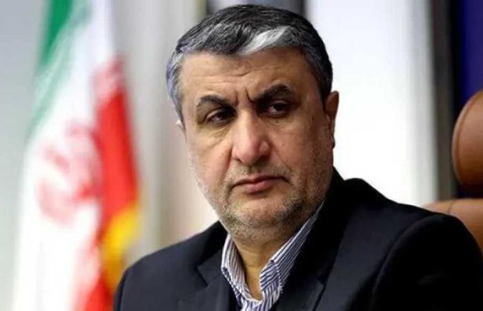 رئيس
      منظمة
      الطاقة
      الذرية
      الإيرانية:
      طهران
      لن
      تسلم
      اليورانيوم
      ولن
      تتراجع
      عن
      تخصيبه