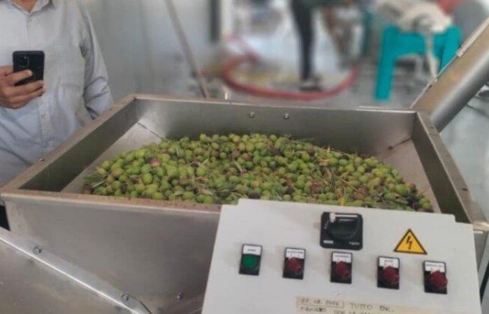 بالبلدي : وزير
      الزراعة
      يتابع
      إنتاج
      الزيتون
      وتشغيل
      معصرة
      جديدة
      بشمال
      سيناء