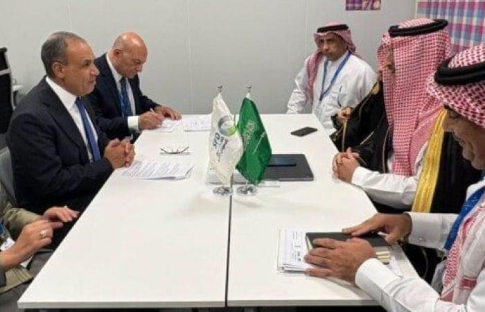 بالبلدي: بدر
      عبد
      العاطي:
      مصر
      تتضامن
      مع
      السعودية
      في
      مواجهة
      تهديدات
      أمنها