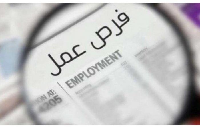 بالبلدي: مرتبات
      تصل
      20
      ألف
      جنيه..
      «العمل»
      تعلن
      توفير
      1095
      وظيفة
      جديدة
      |
      التخصصات
      والشروط