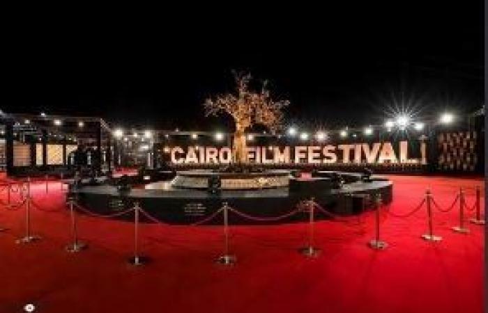 بالبلدي: مهرجان
      القاهرة
      السينمائي
      الدولي
      يفتح
      باب
      التقديم
      لورشة
      «تطوير
      مسلسلات
      النوع»