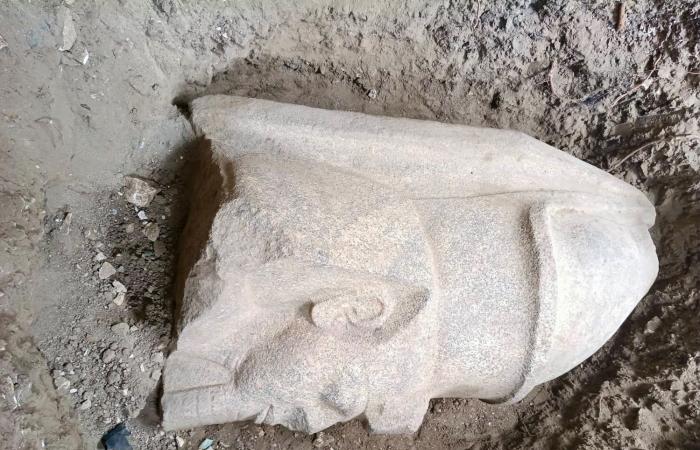 بالبلدي: حفائر
      الإنقاذ
      تكشف
      عن
      بقايا
      تمثالين
      ضخمين
      للملك
      رمسيس
      الثاني
      بمحافظة
      الغربية