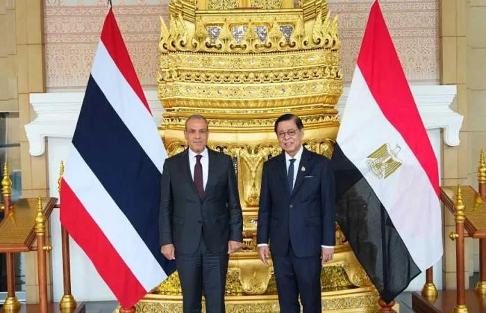 مصر
      وتايلاند
      تفتحان
      آفاقاً
      جديدة
      للشراكة
      السياسية
      والاقتصادية
      خلال
      أعمال
      اللجنة
      الوزارية
      المشتركة
      الثالثة
      ببانكوك