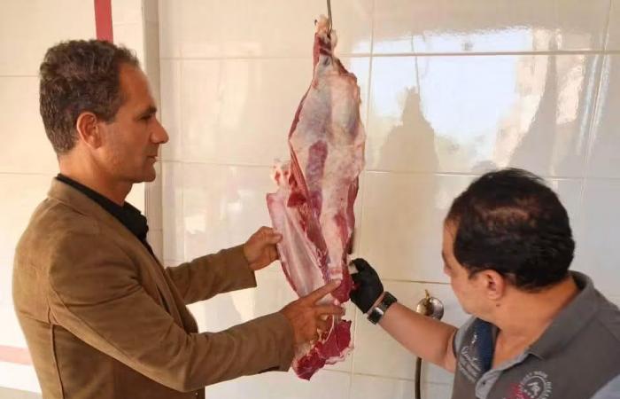 بالبلدي: ضبط
      2.8
      طن
      أغذية
      فاسدة
      وتحرير
      20
      محضرًا