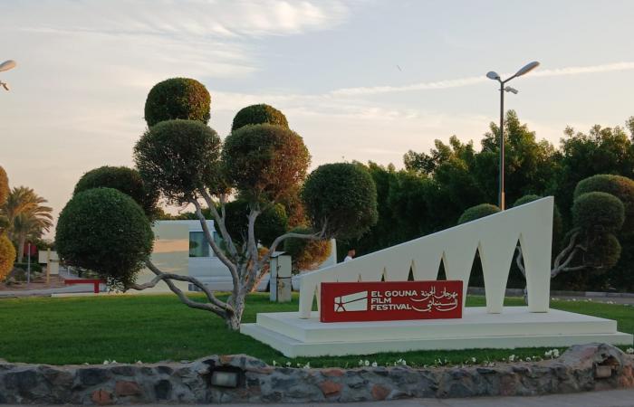 بالبلدي: التجهيزات
      الأخيرة
      لحفل
      افتتاح
      مهرجان
      الجونة
      السينمائي
      (صور)