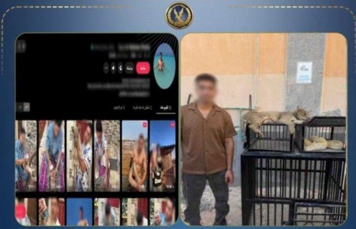 بالبلدي: ضبط
      شخص
      قام
      بتربية
      الحيوانات
      والزواحف
      الخطرة
      أعلى
      عقار
      محل
      سكنه