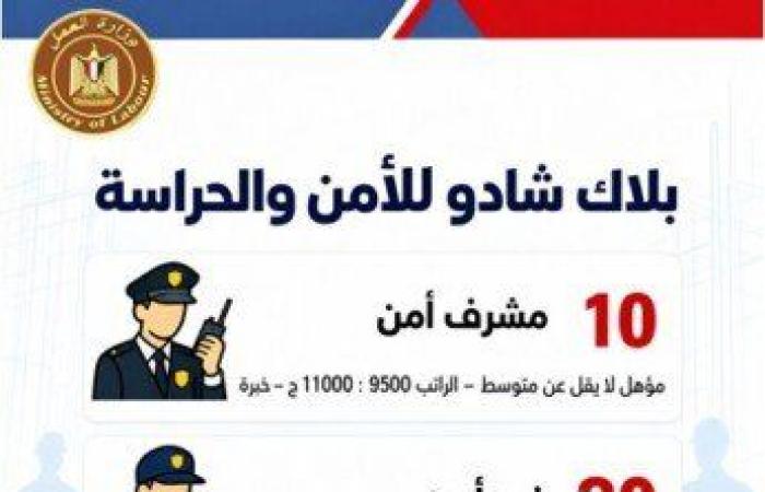بالبلدي: فرص
      عمل
      للشباب..
      48
      شركة
      خاصة
      توفر
      2541
      وظيفة
      في
      16
      محافظة
