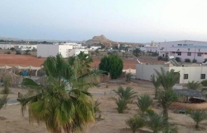 بالبلدي: 10
      معلومات
      في
      ختام
      المهرجان
      الدولي
      التاسع
      للتمور
      المصرية
      بسيوة