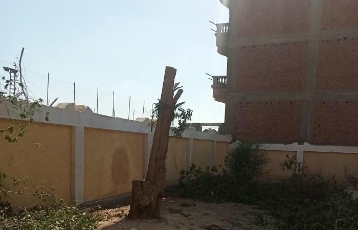 بالبلدي: قرار
      عاجل
      لـ«محافظ
      سوهاج»
      ضد
      مسؤولي
      مدرستين
      بساقلتة
      بسبب
      «التقليم
      الجائر»
      لأشجار
      معمرة