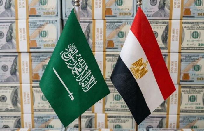 بالبلدي: ازي
      الحال|
      رسمياً..
      انطلاق
      قطار
      سيناء..
      صندوق
      النقد
      يطالب
      بتقليص
      دور
      الدولة
      في
      الاقتصاد..
      ومفاوضات
      مع
      الرياض
      لتجديد
      ودائع
      بـ5.3
      مليارات
      دولار