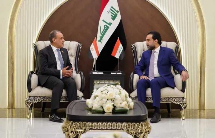 وزير
      الخارجية
      يلتقي
      رئيس
      حزب
      تقدم
      العراقي
      ويؤكد
      على
      دعم
      مصر
      لوحدة
      العراق
      وسيادته
      واستقراره
