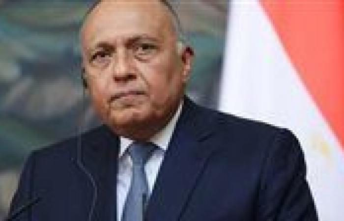 بالبلدي: سامح
      شكري
      يكشف
      دلالة
      تفويض
      السيسي
      بشأن
      إرسال
      قوات
      عسكرية
      إلى
      السعودية