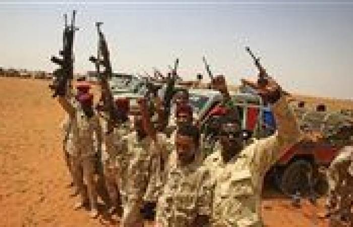 بالبلدي: الجيش
      السوداني
      يصد
      هجومًا
      للدعم
      السريع
      في
      سالي
      وسط
      أنباء
      عن
      مقتل
      قائد
      ميداني