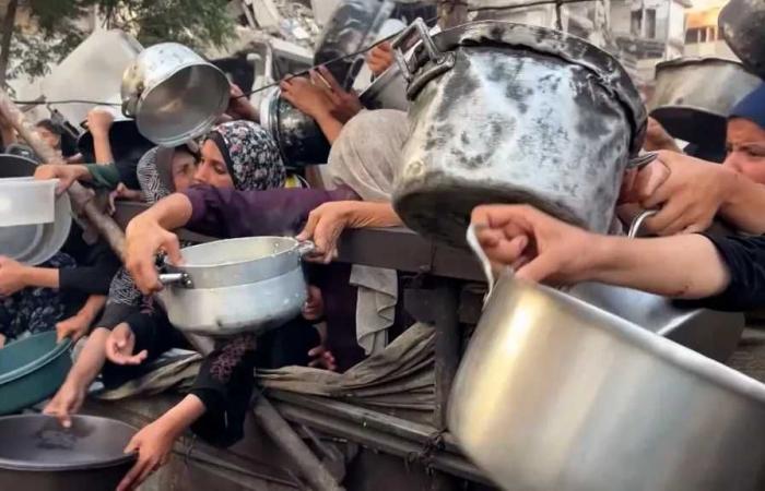 غزة:
      توقف
      المخابز
      بسبب
      احتجاز
      الاحتلال
      لشحنات
      الطحين
      والمنع
      الممنهج
      لدخول
      الإمدادات