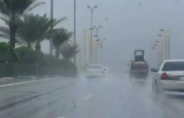 حالة
      الطقس
      غدًا..
      أجواء
      خريفية
      وفرص
      سقوط
      أمطار
      على
      هذه
      مناطق