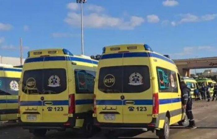 بالبلدي: عاجل
      |
      وصول
      دفعة
      جديدة
      من
      مصابي
      غزة
      إلى
      معبر
      رفح
      وتجهيز
      60
      سيارة
      إسعاف
      لنقلهم
      للمستشفيات
