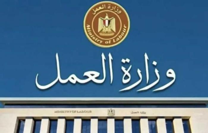 وزير
      العمل:
      توفير
      3
      ملايين
      فرصة
      عمل
      وخفض
      البطالة
      إلى
      5.5%
      ضمن
      برنامج
      التحول
      الاقتصادي