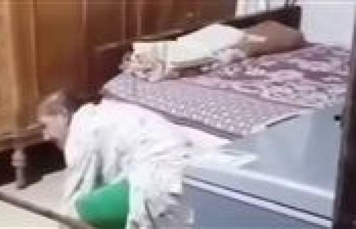 بالبلدي: بسبب
      خلافات
      أسرية..
      حبس
      سيدة
      بتهمة
      ضرب
      شقيقتها
      بعصا
      في
      الغربية