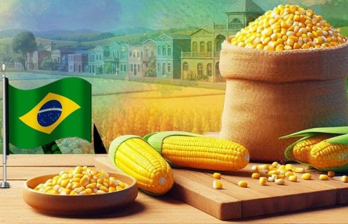 بالبلدي: الاقتصاد
      في
      أسبوع:
      ارتفاع
      خسائر
      الجنيه..
      تخارج
      المال
      الساخن..
      الحكومة
      تبحث
      العودة
      لـ”تخفيف
      الأحمال”